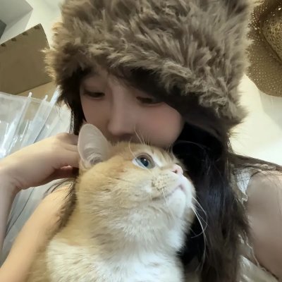 双龙会粤语